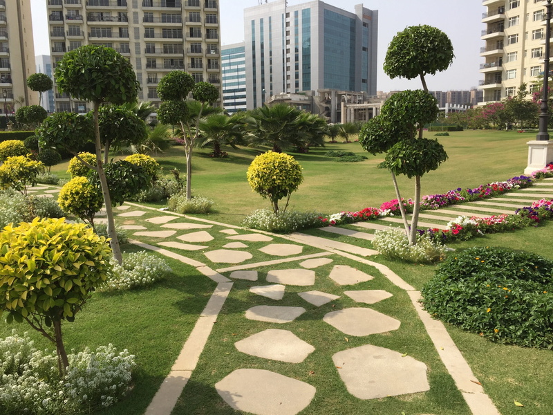 outdoor, green color, growth, plant, green, park, tree, skyscraper, road, landscape, office building exterior, urban, Road, flowerbed, built structure