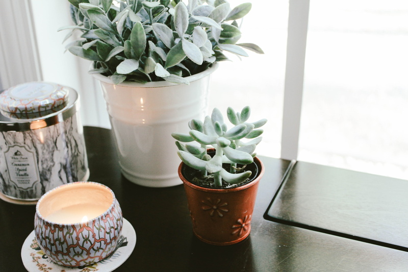 glass, autumn, no people, day, flower Pot, drink, mug, houseplant, petal, plants, decoration, office, vase, nature, food and drink, garden, fall, table