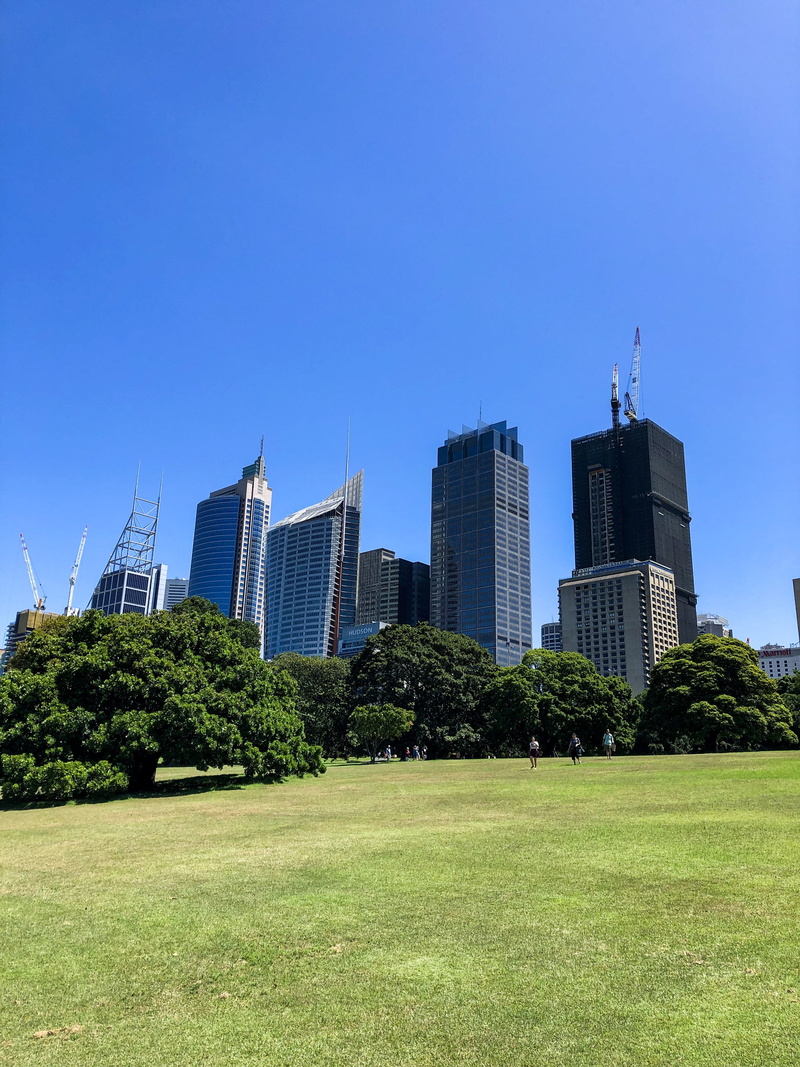built structure, australia, grass, downtown, town, architecture, financial district, landscape, modern, city, plant, human, the royal botanic garden sydney