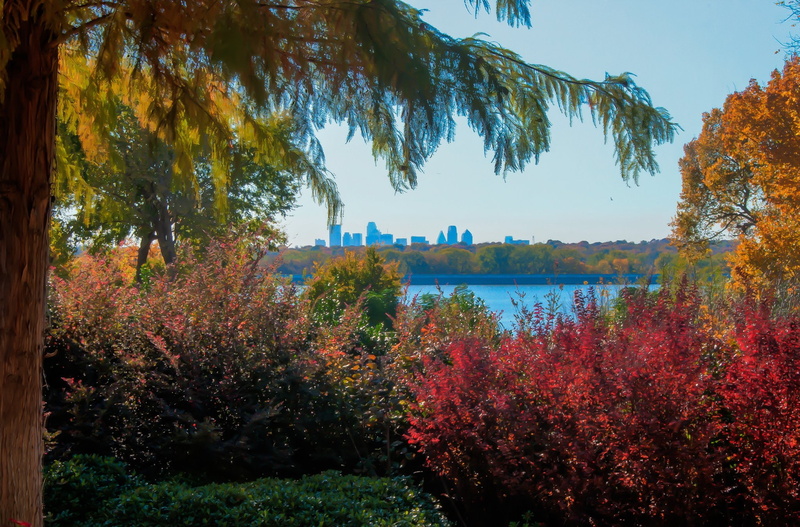 fair, towers, night, gardens, bridges, downtown, stores, buildings, dallas, texas, roads, park, architecture, lake highland, offices, oak lawn, white rock lake