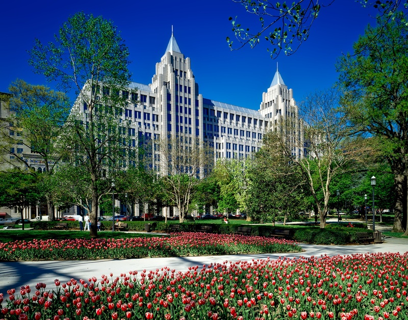 tulips, flowers, plants, no people, tree, flower, franklin park, built structure, idyll, day, beauty in nature, travel destinations, 1080P, nature, hdr
