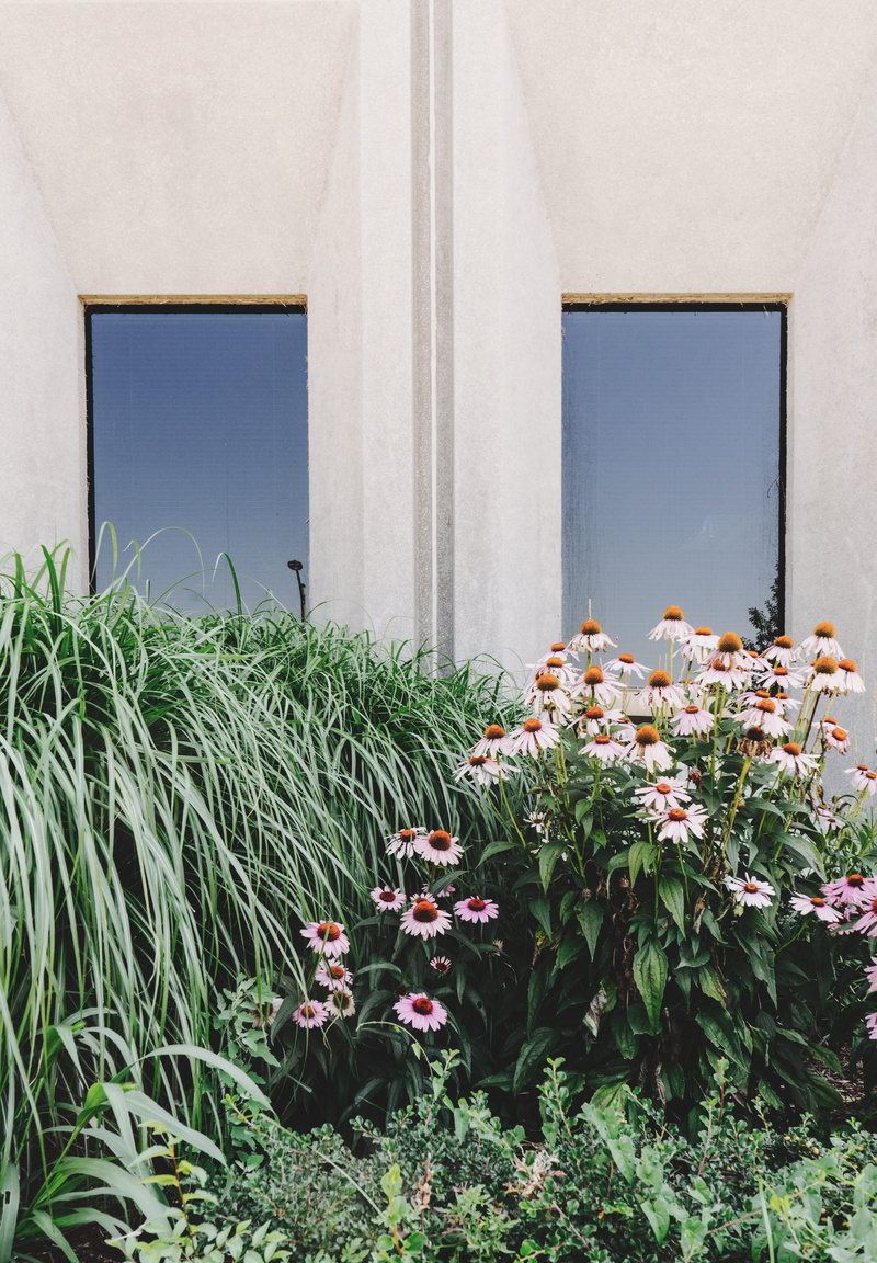 urban, symmetrical windows, concrete, frame, building, building exterior, window, plant part, flowers, plant, white, reflection, freshness, 5K, house