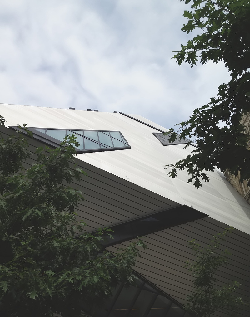 photo, residential district, branch, patio, growth, building, garden, no people, green color, day, architecture, toronto, spire, arbour, tree, triangle