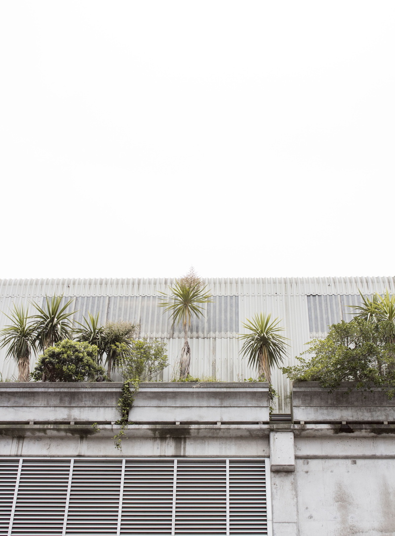 built structure, day, nature, vase, no people, low angle view, wall, arecaceae, jar, bonsai, tropical climate, wall - building feature, sky, corrugated