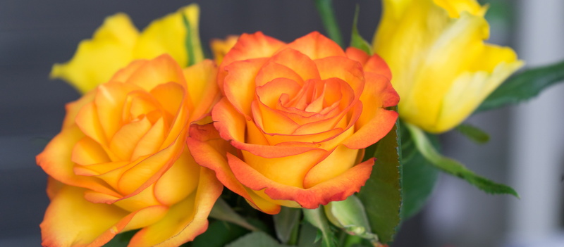 bouquet, orange, flowers, flower, photography, flower head, vulnerability, yellow, rose, beauty in nature, inflorescence, tulip, close-up, artificial, bloom