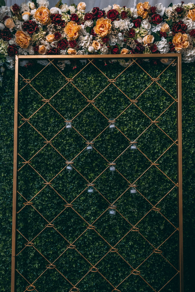 fence, plant, backgrounds, bright, safety, outdoors, close-up, wall, flowers, day, boundary, flora, colors, brown, blooming, pattern, no people, protection