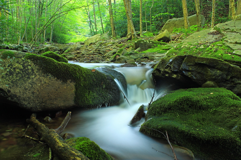 cascades, scenics, time, green Color, freshness, Seven Pines, summer, ravine, 5K, Poconos, Creek, photography, water, waterfall, stream, time lapsed, river