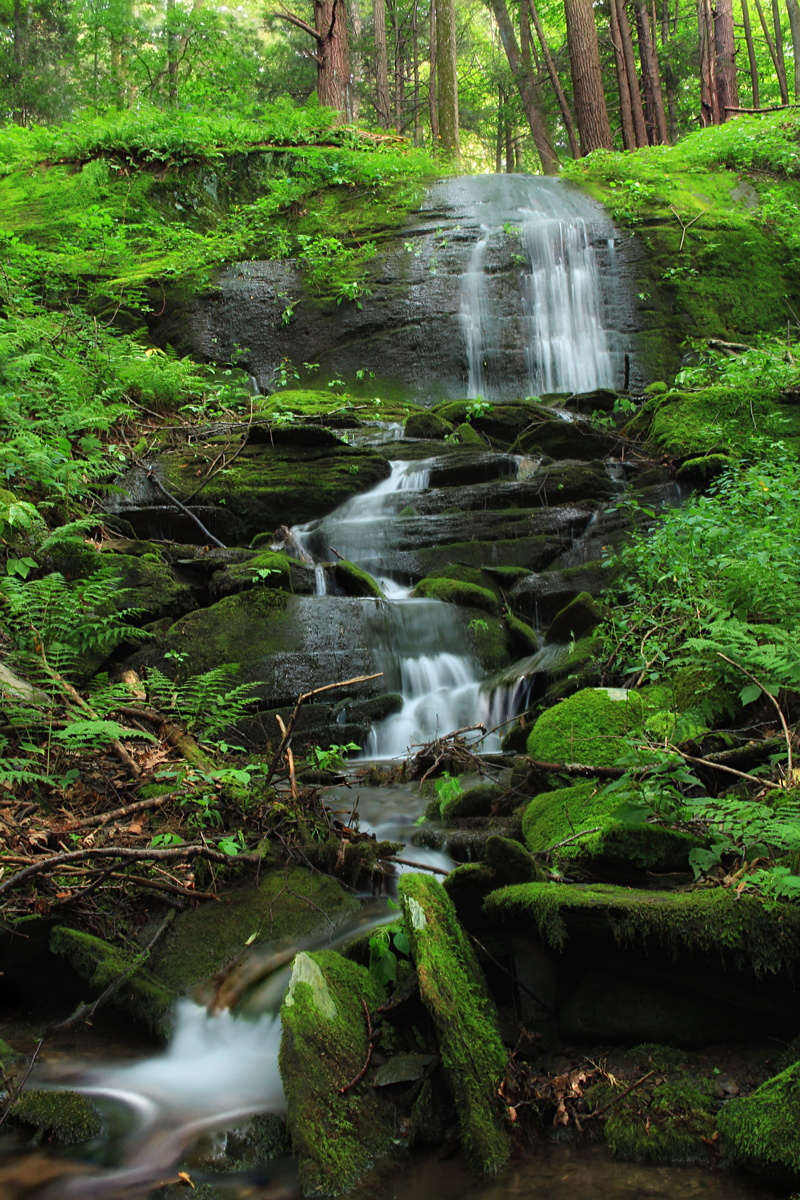 outdoors, forest, tropical Rainforest, water, tree, waterfall, hiking, photograph, Revisited, leaf, scenics, McMichael Creek, surrounded, rocks, summer