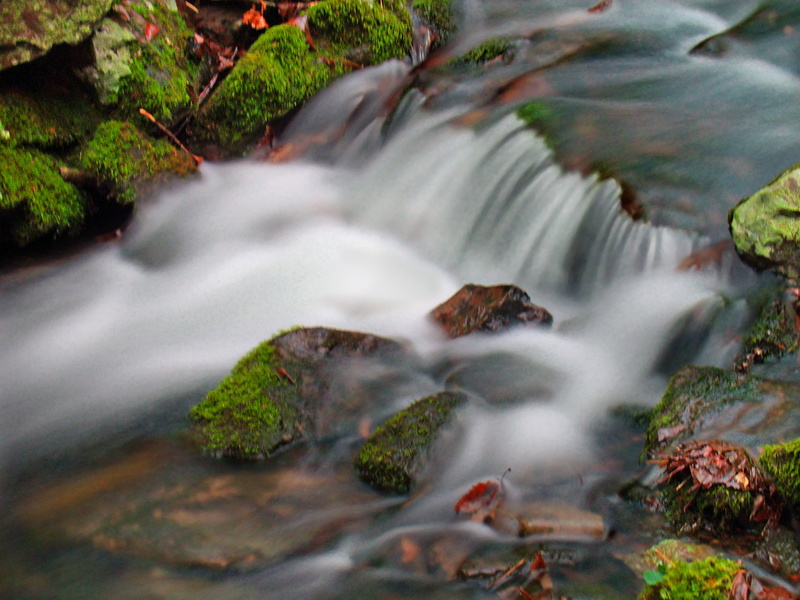 rock - Object, autumn, Clinton County, flowing Water, Pennsylvania, scenics, gray, cascades, creek, hiking, green, landscape, leaf, river, State Game Lands