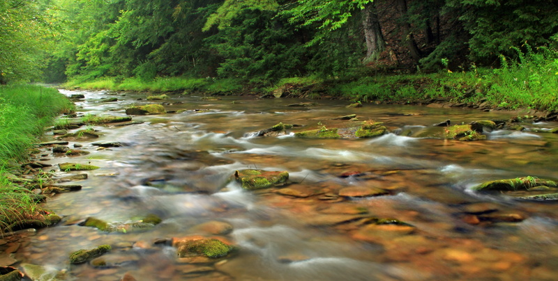 forest, rocks, flowing, outdoors, tree, creative commons, rock - Object, stream, Hammersley Fork, landscape, creek, scenics, hiking, near, Clinton County