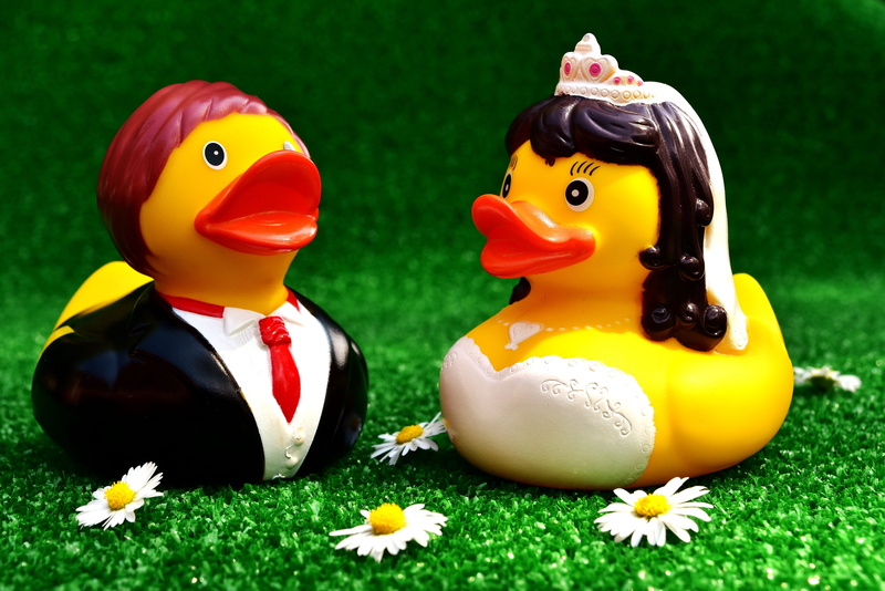 flowering plant, romantic, Bride, figures, still life, funny, duck, no people, partnership, marry, lovers, animal representation, marriage, green color