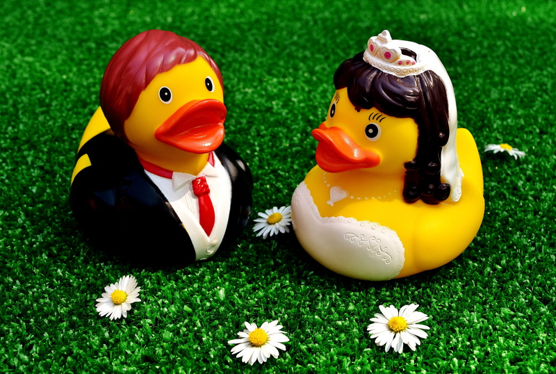 ground, toy, romance, wedding, figures, creativity, nature, art and craft, before, no people, human representation, marry, flowering plant, marriage, male likeness