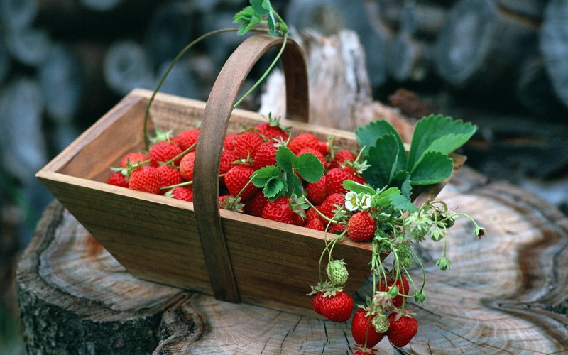brown, strawberries, basket, wooden, 1080P