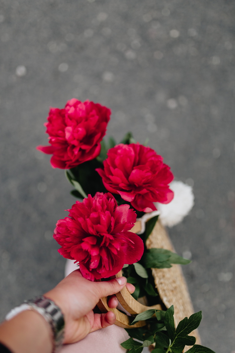 blooming, floral, holding, raffia bag, one person, vulnerability, human limb, zara bag, hand, flower head, body part, beauty in nature, human hand, finger