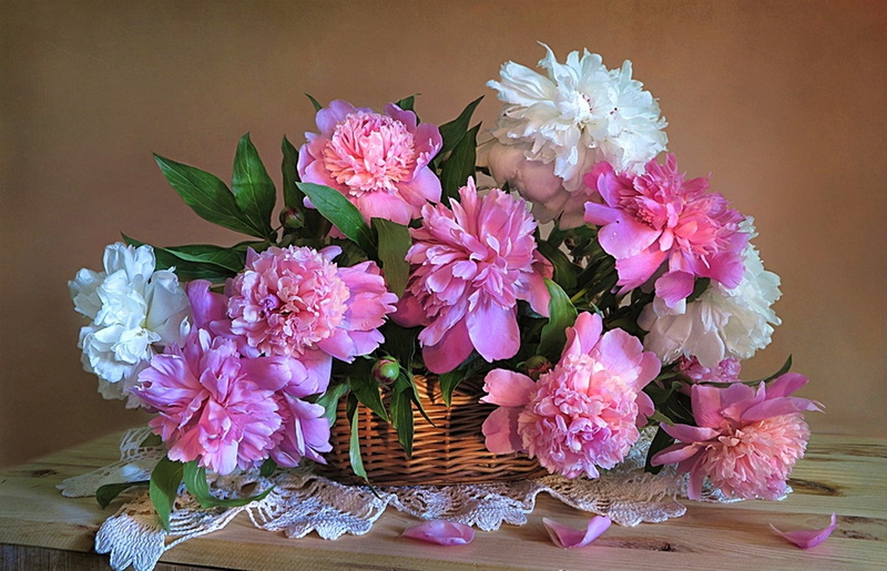 purple, Basket, Peony, flowering plant, nature, Man Made, flower head, table, bunch of flowers, fragility, flower arrangement, vase, freshness, still life