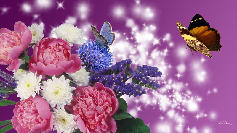 glitter, summer, blue, illustration, common, flowers, sparkle, brown, nature and landscape, bright, peony, spring, butterfly, admiral, purple, 1080P, light