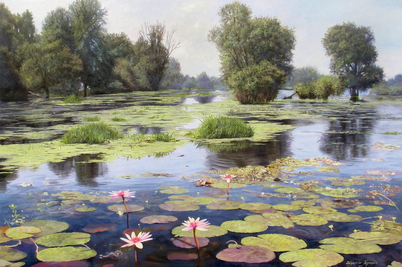 tranquil Scene, scenics, river, beauty In Nature, lake, flower Head, leaves, trees, lilys, tree, duckweed, lotus Water Lily, Lotus, floating, outdoors