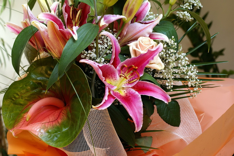 pink Color, pollen, lilies, beauty in nature, celebration, gift, plant, holiday, flowers, flower arrangement, anthurium, flower Head, bouquet, anniversary