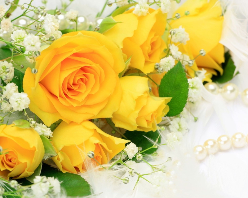 wedding, plant, leaf, freshness, day, flower Head, petal, rose, romance, wedding ceremony, bunch of flowers, flowering plant, decoration, pearl, vulnerability