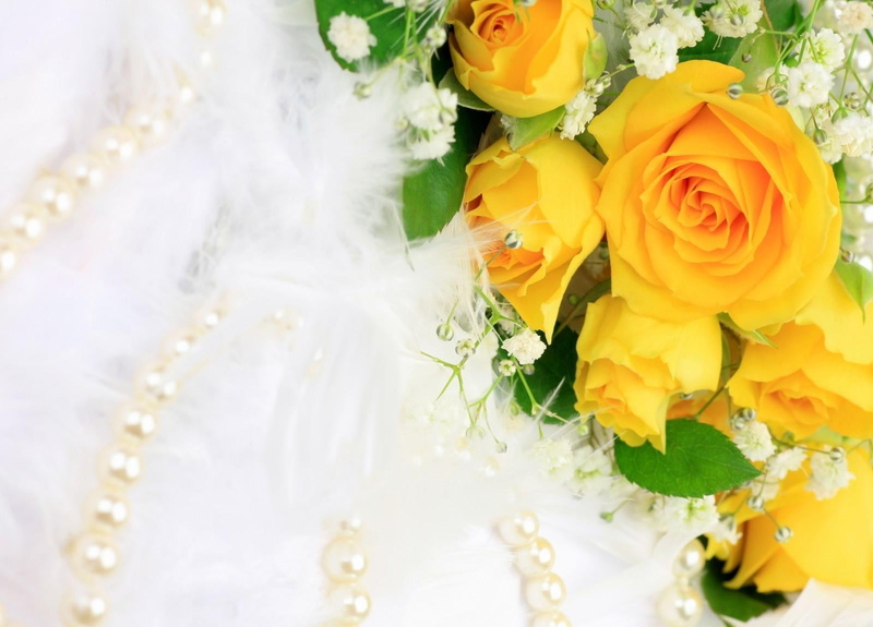 beauty in nature, pearl jewelry, married, fragility, plant, day, jewelry, backgrounds, 720P, pearls, rose, celebration, close-up, no People, petal, freshness