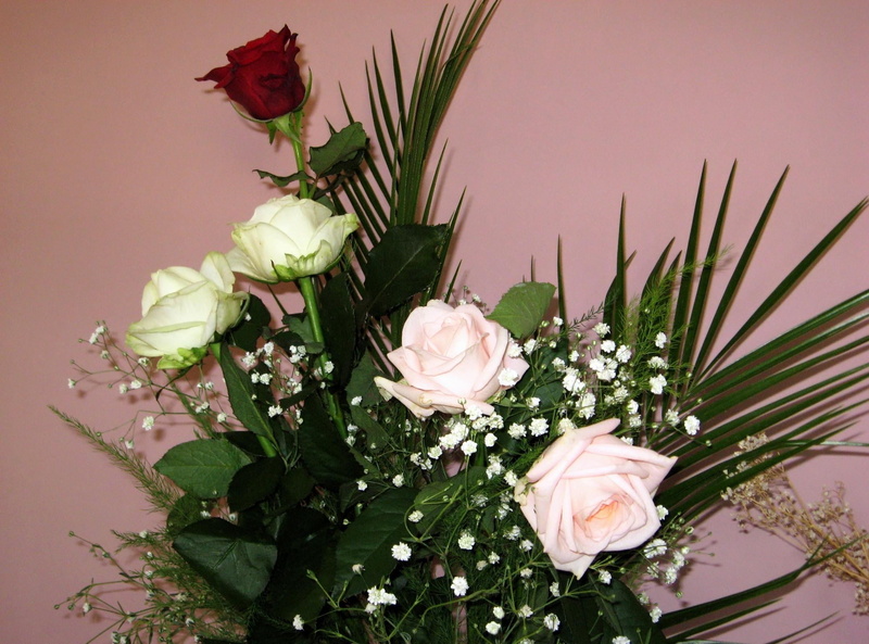 flower, plant part, freshness, softness, no People, indoors, fragility, decor, cut Flowers, rose - Flower, gift, vulnerability, wedding, beauty, white color