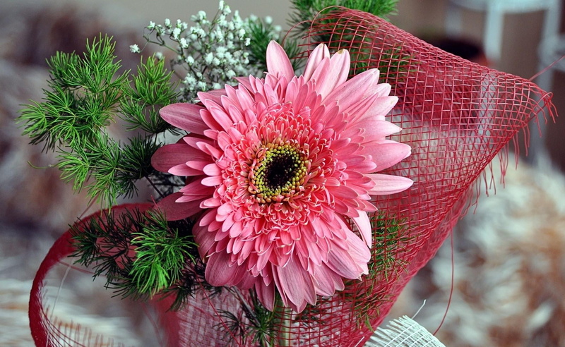 beautiful, botany, romance, gift, nature, growth, focus on foreground, season, plant, backgrounds, red, freshness, vulnerability, bouquet, beauty, composition