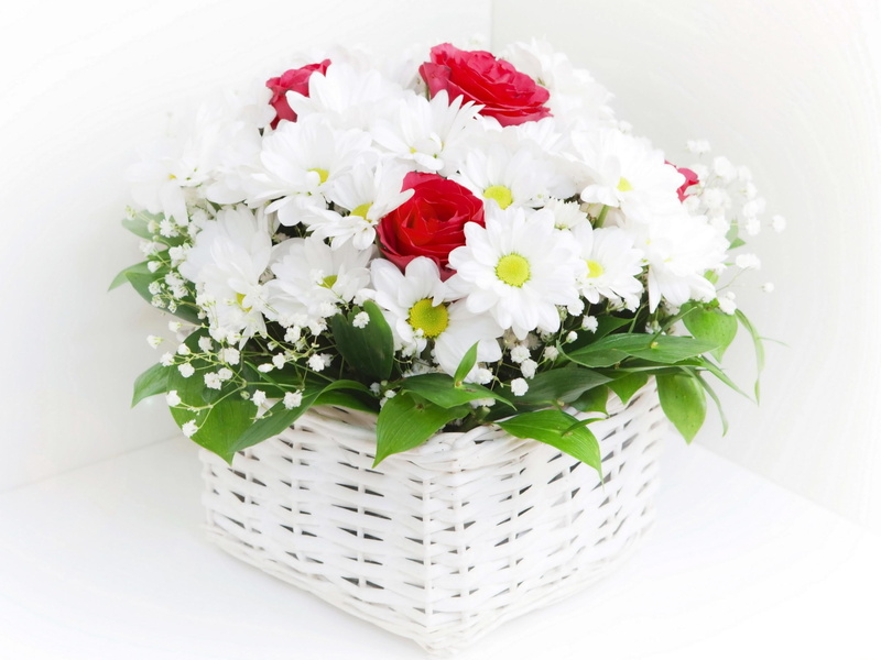 container, chrysanthemums, wedding, close-up, inflorescence, flower arrangement, flowering plant, summer, backgrounds, petal, beautiful, leaf, pink Color