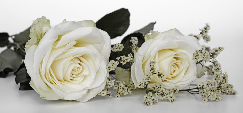 studio shot, promise, wedding ceremony, life events, bunch of flowers, marriage ceremony, no people, freshness, rose - flower, close-up, plant, rose, flowers