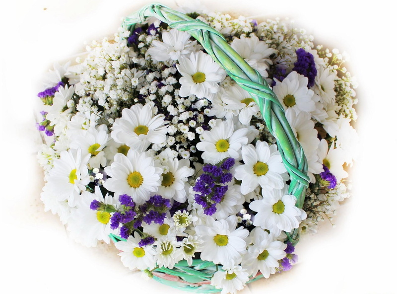 indoors, romance, backgrounds, yellow, white background, leaf, gypsophila, decoration, flower, daisy, green Color, petal, basket, cut Flowers, flower arrangement