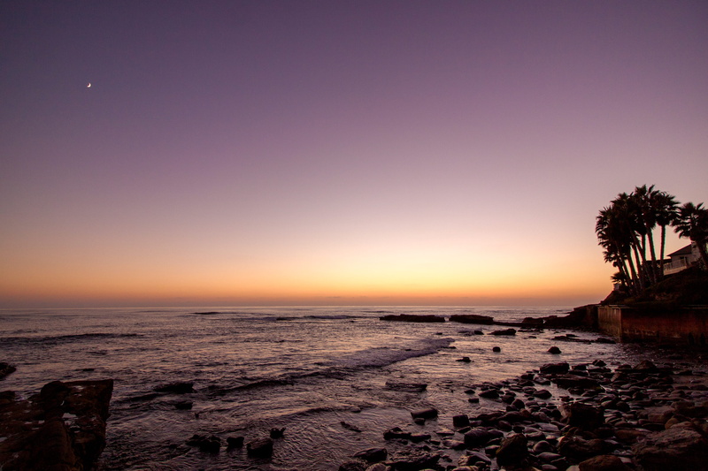 united states, dusk, horizon, palm, land, coconut palm tree, surf, twilight, no people, san diego, sea, sky, horizon over water, tree, moon, tropical climate