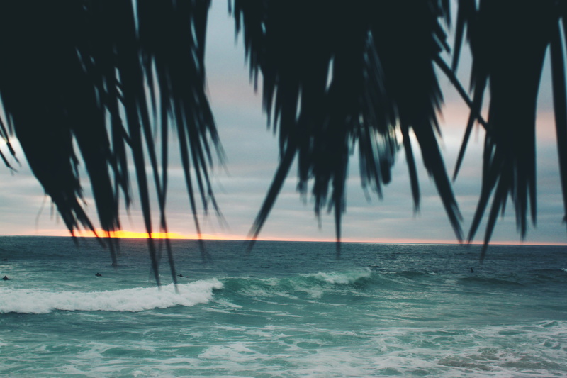 water, tree, land, scenics - nature, waterfront, sunset, palm tree, nature, san diego, united states, sea, outdoors, motion, 4K, beauty in nature, la jolla