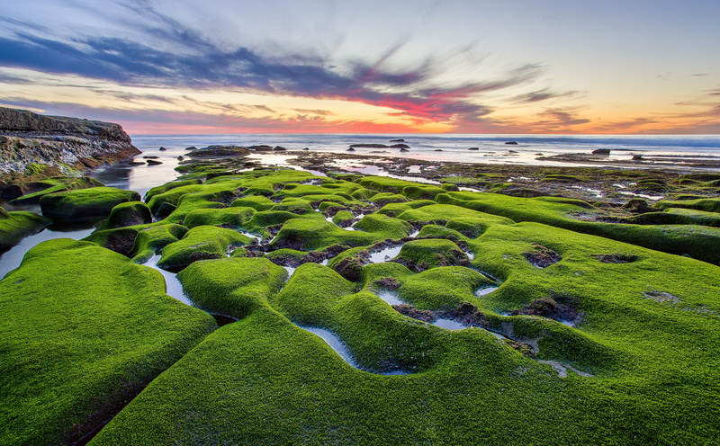 sky, cloud - sky, tranquility, san diego, California, grass, land, beauty in nature, pacific ocean, scenics - nature, green color, bay, landscape, water