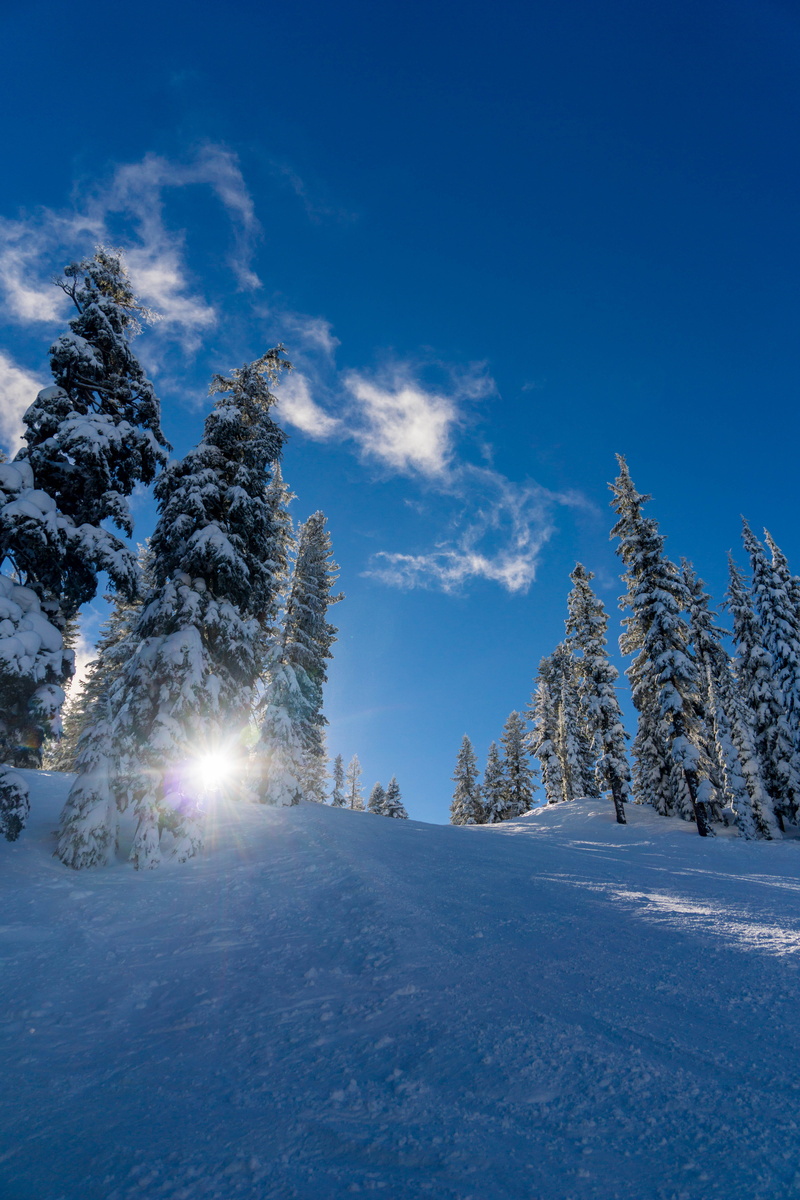 nature, sunlight, plant, land, clouds, united states, sky, blue, snow, scenics - nature, snowy, cold temperature, tranquil scene, lens flare, tranquility