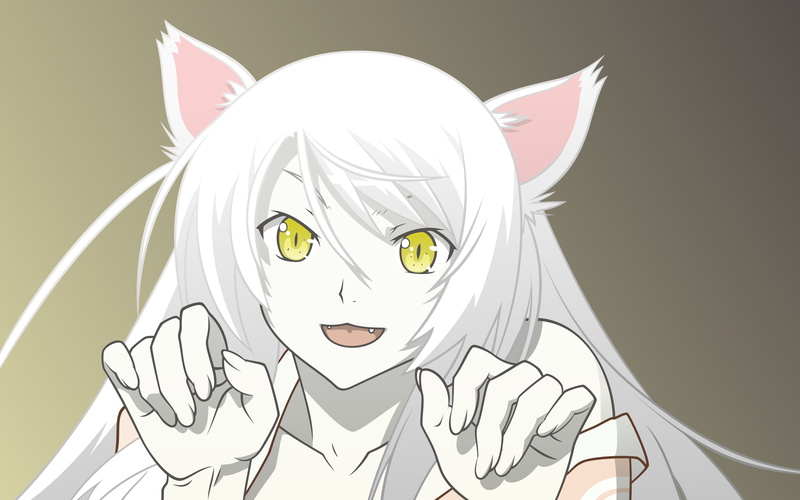 representation, 4K, clothing, women, indoors, animal wing, studio shot, human face, one animal, monogatari series 4k cool images hd, mammal, emotion, adult