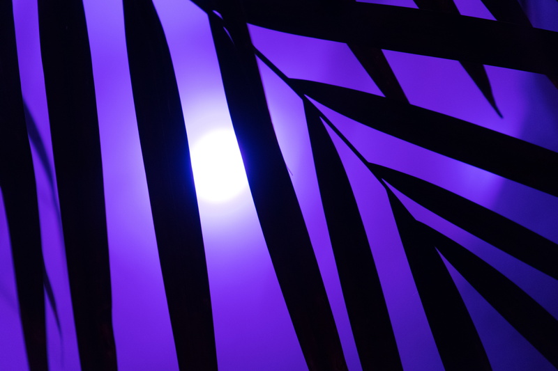 striped, party, leaf, fog, technology, neon lights, neon light, lighting equipment, image series, purple, creativity, yukka, heat, artificial, pattern
