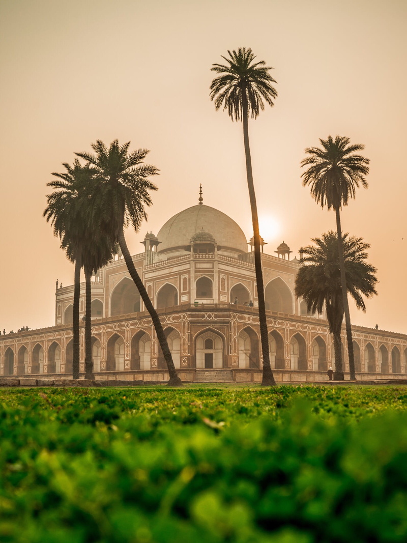 outdoors, religion, building, arch, mosque, travel, nature, palm tree, photo, sunset, brown, dome, grass, tropical climate, 1080P, built structure, city