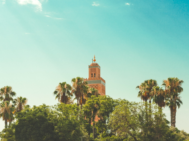 building exterior, arab, palm tree, tree, palm, plant, belief, growth, koutoubia, spirituality, built structure, outdoors, mosque, blue, green color, 4K