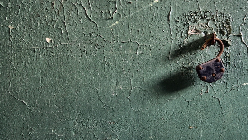 outdoors, old, hole, backgrounds, day, run-down, wood - material, full frame, metal, wall - building feature, animal, architecture, wall, rust, minimalism