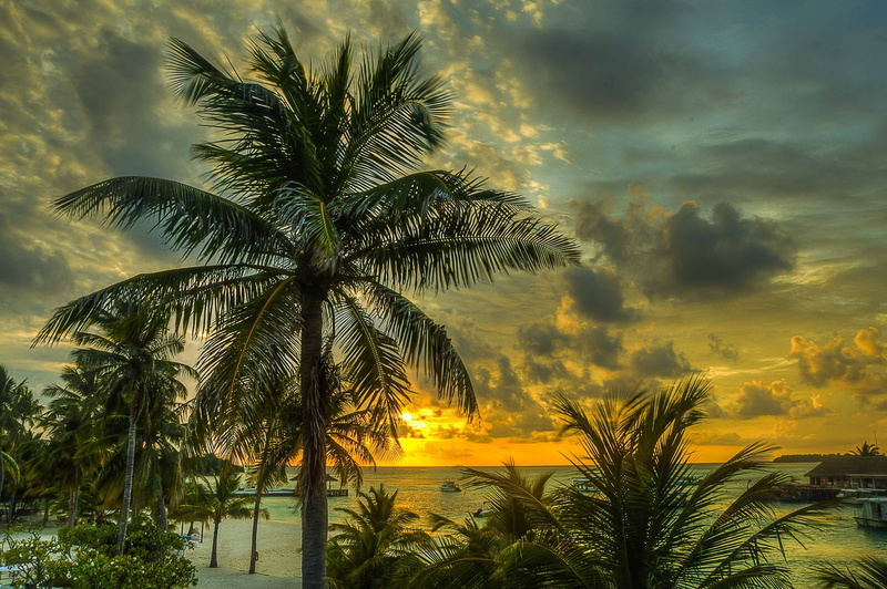 scenics, hdr, landscape, land, palms, sea, vacations, sun, no People, tropical Climate, beach, 4K, plant, coastline, sand, idyllic, blue, silhouette, sky