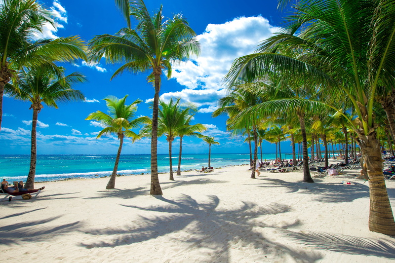green, tropical tree, travel, the sun, coconut Palm Tree, caribbean Sea, seascape, idyllic, land, horizon, tree, no People, tranquil Scene, island, beach