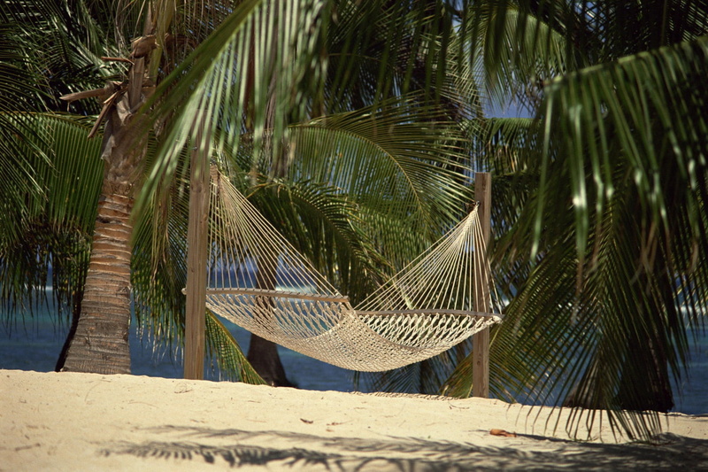 relaxation, palm Tree, tree, landscape, travel, sunlight, sky, land, summer, plant, tranquility, net, day, clearly, maldives, caribbean Sea, seascape, tourism