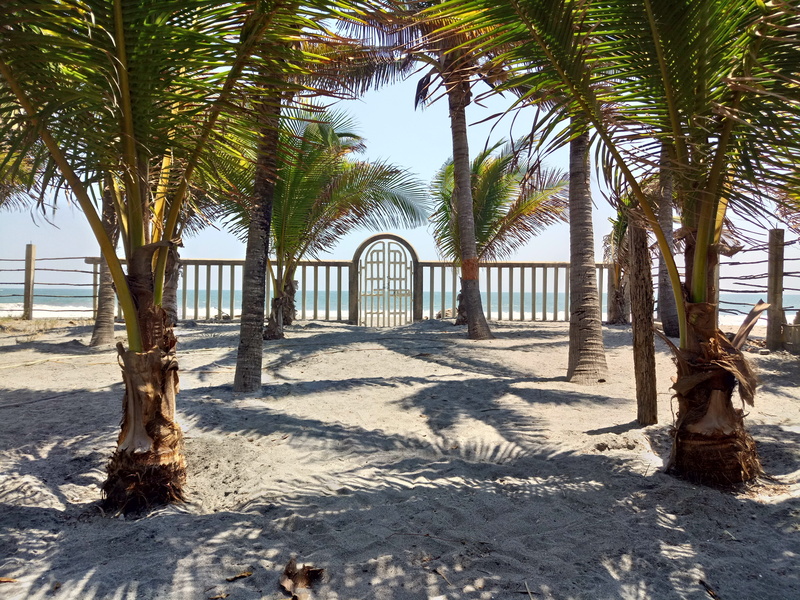 day, architecture, coconut, palm tree, sun, trunk, the costa del sol, el salvador, tranquil scene, growth, waves, architectural column, tree trunk, beach