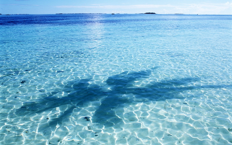 scenics - nature, sand, body, tourism, tranquility, summer, ripple, sunlight, water Surface, backgrounds, beach, sun, sky, day, nature, travel, wave, outdoors