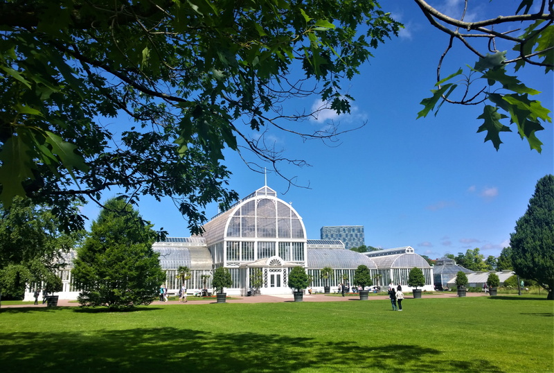 grass, outdoor, building exterior, religion, tree, sky, the garden society of gothenburg, plants, view, concrete, daytime, landscapes, plant, city, the palm house
