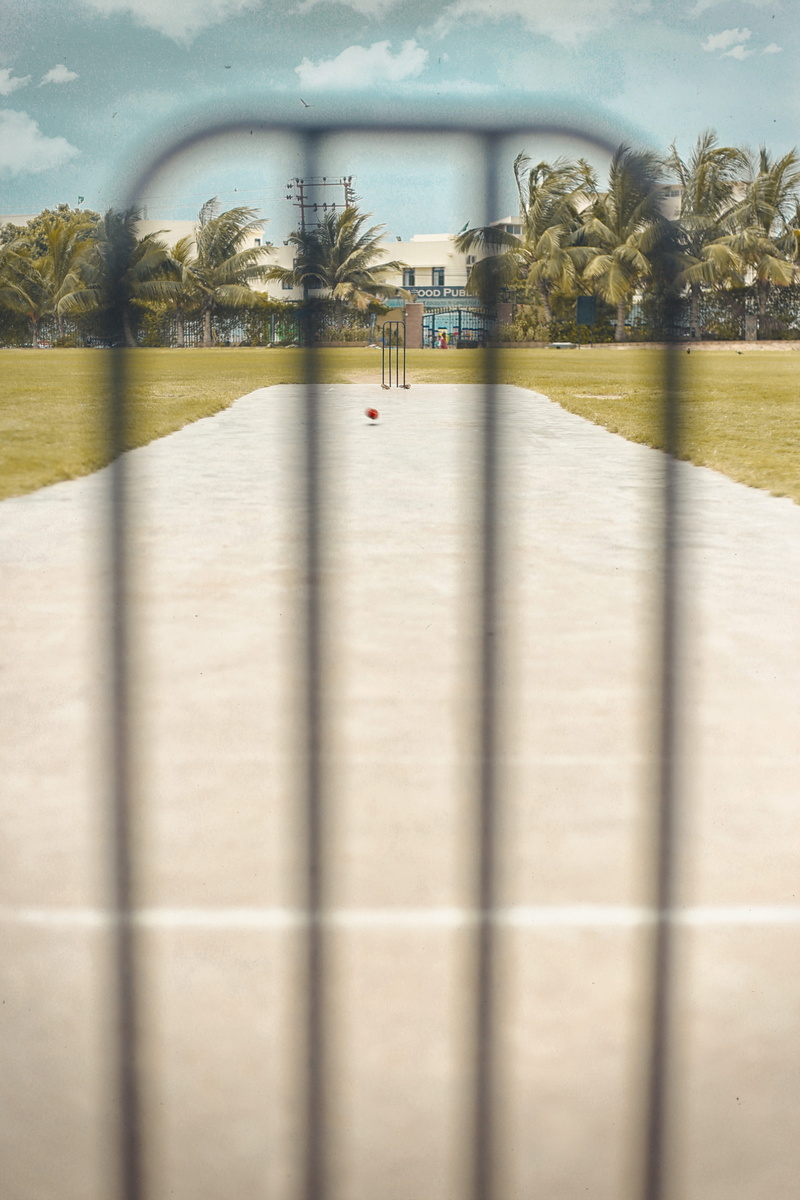cricket, focus on background, group of people, direction, pitch, shadow, transportation, real people, palm tree, architecture, tree, sport, beautiful, 5K