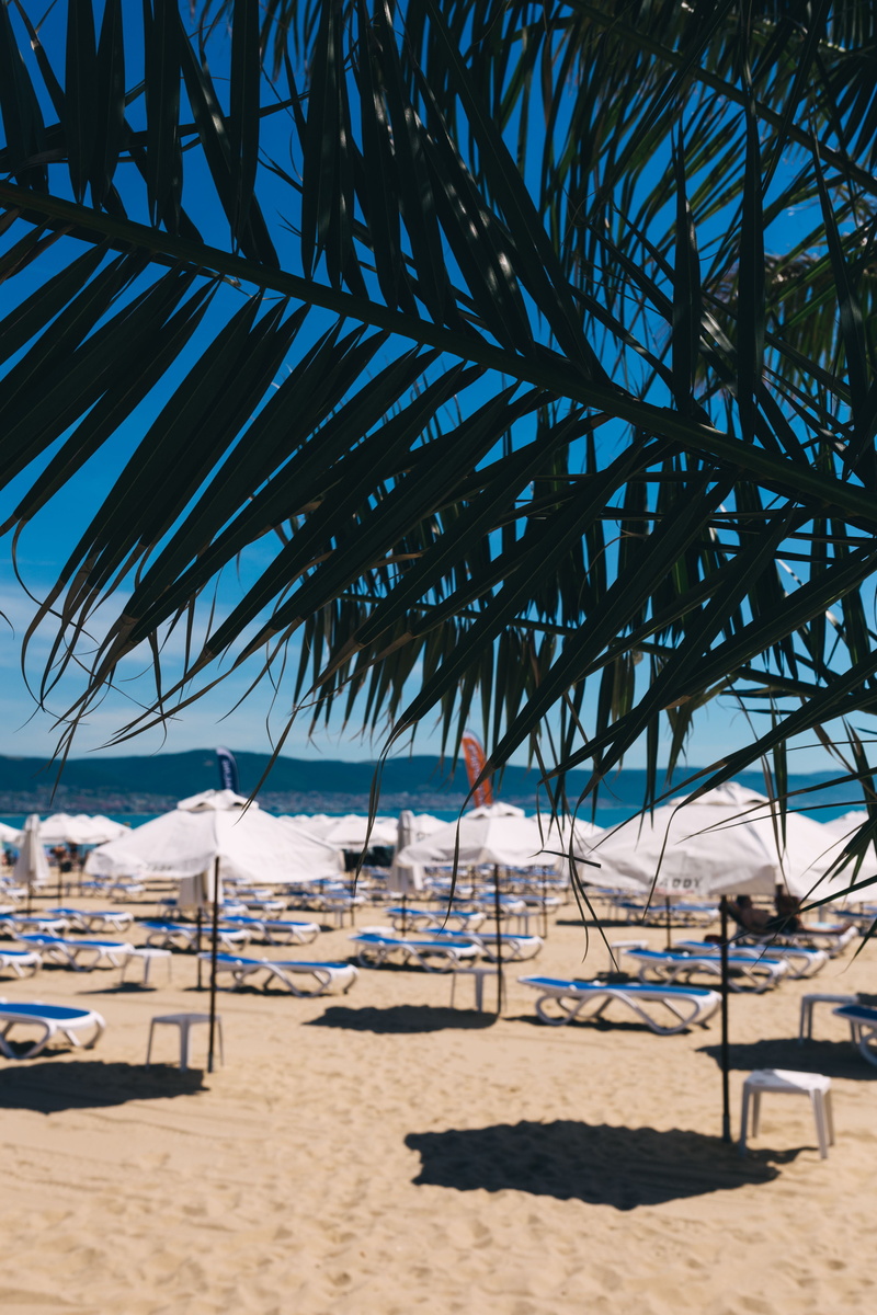 lounge chair, tropic, outdoors, blue sky, 5K, travel Destinations, relaxation, ocean, tropical Climate, shade, black sea, tropical, exotic, tree, no people