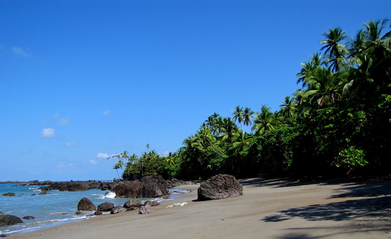 bay Of Water, summer, palm trees, day, stones, landscape, tranquil Scene, scenics - nature, wave, water, sea, brown, scenics, tranquility, tourism, coastline