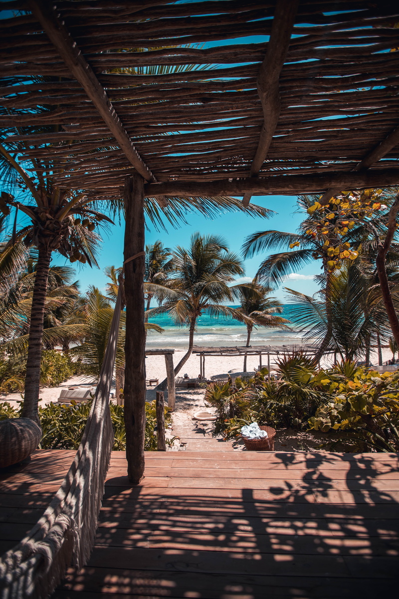 the way forward, sunlight, tropical tree, coastline, coconut Palm Tree, day, sky, tranquil scene, coconut, sand, palms, shadow, summer, beach, tropics
