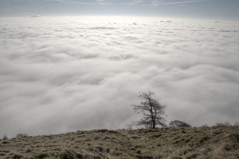 tranquility, landscape, scenics - nature, environment, clouds, plant, beauty in nature, outdoors, sky, light, hill, nature, weather, cloudscape, land, horizon over land