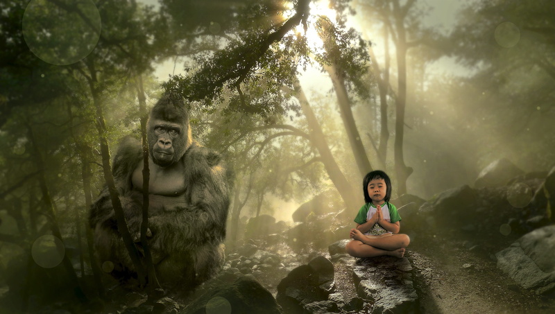 healing, adult, meditation, fairy tales, 4K, toddler, rainforest, leisure activity, land, rack, harmony, contemplation, idyllic, water, forest, composing trees